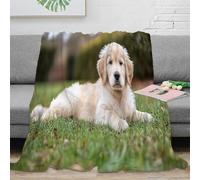 RJAVAGFZL 3D Printed Golden puppy lying Living Room Throw Microfiber Soft Warm Bedding Cosy Cute outdoor pet scene All Season Blanket for Housewarming New Homeowners Couples 50x60inch(127x152cm)