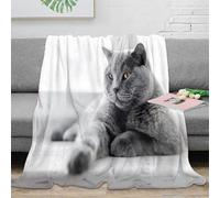 RJAVAGFZL 3D Printed Gray cat resting Living Room Throw Microfiber Warm Cosy Bedding Soft British Shorthair Couch Blanket Anti Static Fade Resistant for Adults Couples Households 60x80inch(150x200cm)
