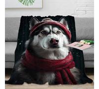 RJAVAGFZL 3D Printed Siberian Husky Soft Throw Microfiber Soft Cosy Bedding Warm Winter cozy Thermal Blanket Thoughtful Gift for Christmas Thanksgiving 50x60inch(127x152cm)