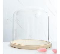 RJMPUCUT Glass Dome Diameter 7.8", Decorative Glass Cloche Bell Jar Display Dome, Dust Proof Glass Display Dome with Solid Wood Base Office Home Desktop Ornament Decoration