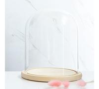 RJMPUCUT Glass Dome Diameter 7", Decorative Glass Cloche Bell Jar Display Dome, Dust Proof Glass Display Dome with Solid Wood Base Office Home Desktop Ornament Decoration