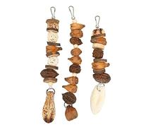 Rjrjc Bird Bite Toy Set, 6PCS Nutty Vine Ball with Cuttlebone and Hanging String, Stainless Steel Hooks for Parrot Cage Play