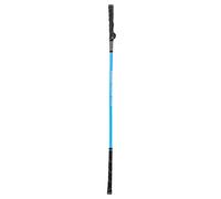 Rjrjc Professional Golf Swing Practice Stick, 40.9 Inches and 686g, for Indoor and Outdoor Training, Blue, Correct Swing Tempo, Strength and Flexibility