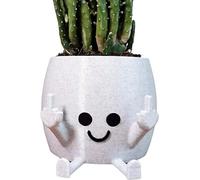 RJW Design Store Middle Finger Planter Pot, Adult Plant Pot, Marble Pot, Desk Storage (Medium)
