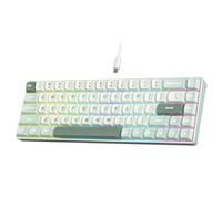 RK ROYAL KLUDGE C68 Hall Effect Mechanical Gaming Keyboard, 65% HE Magnetic Switch Wired RGB Keyboard, Hot Swappable, Rapid Trigger Adjustable Actuation, 8K Polling Rate, Pro Web Driver for Mac &Win