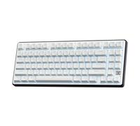 RK ROYAL KLUDGE X87 Mechanical Keyboard 75% Wired Keyboard Gaming with 86 Keys, Gasket Mount, Ice-Blue Backlight, Black Shell Design, Software Support, Hot-Swappable Creamy Switch White