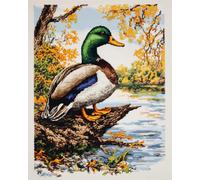 RKFLGEW 14CT Mallard Duck On Pond Cross Stitch Kits for Beginners Animals and Landscapes Counted Fabric Cross Stitching DIY Art Needlecrafts Embroidery Kits with Scissors Accessories 30x40 cm