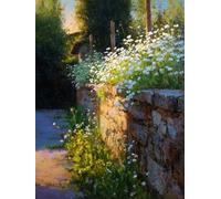 RKFLGEW DIY Embroidery Set Adults White Daisy Flowers On The Roadside DIY Bead Embroidery Kits Cross Stitch Kit Beadwork Set 3Mm Beads for Needlework Crafts 50x70cm