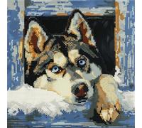 RKFLGEW DIY Hook Latch kit Husky Cushion Making kit Dog Animal Latch Hook Cushion Kit,DIY Pillow Cover Making Craft Printed Canvas for Beginners Embroidery Crafting Pillow 43x43cm