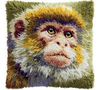 RKFLGEW DIY Latch Hook Kit Cartoon Monkey Animal 43x43cm