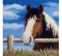 RKFLGEW DIY Latch Hook Kit Cushion Horse Animal 3D Pillow Materials Package Latch Hook Embroidery Kits DIY Carpet Cushion Crocheting Pillowcase for Home 43x43cm