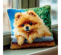 RKFLGEW DIY Latch Hook Kits for Adults Cartoon Pomeranian Animal 43x43cm