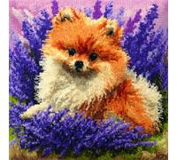 RKFLGEW DIY Latch Hook Kits for Adults Cartoon Pomeranian Animal 43x43cm