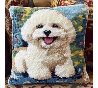 RKFLGEW Latch Hook Kits for Adults Kids DIY Frise Smile Pillow Cover Beginner Cross Stitch Kits with Preprinted Canvas Crochet Yarn Embroidery Hooking Sofa Home Decor 17'' X 17''