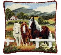 RKFLGEW Latch Hook Kits Pillow Horses On The Farm Printed Cushion Crochet Yarn Embroidery Needlework Hook and Latch Kit Pillowcase Rug Cover Home Decor 43X43Cm