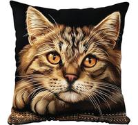 RKFLGEW Latch Hook Pillow Kit for Adults &, Cute Cat DIY Pre-Printed Cross-Stitch Embroidery Canvas Craft, 17X17 Inch Decorative Throw Pillow Cover for Sofa Cushions, Bedroom Decor