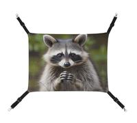 RKJVB 16.9 X 13 Inches Breathable Pet Hammock with Adjustable Straps Cute Raccoon Printed Reversible Cat Hanging Bed Dog Mats for Small Rabbits Ferret Guinea Pig
