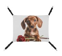 RKJVB 16.9 X 13 Inches Breathable Pet Hammock with Adjustable Straps Dog Holding A Rose Printed Reversible Cat Hanging Bed Dog Mats for Small Rabbits Ferret Guinea Pig