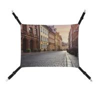 RKJVB 16.9 X 13 Inches Breathable Pet Hammock with Adjustable Straps Poland's Historic Center Street Printed Reversible Cat Hanging Bed Dog Mats for Small Rabbits Ferret Guinea Pig