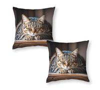 RKJVB Throw Pillow Covers Set of 2 12"x12" Cat Sleeping Pillow Covers Decorative Square Pillowcases Soft Cozy Cushion Cases for Couch Bed Bedroom Living Room Office