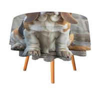 Rkklvbns Basset Hound Tablecloth for Wedding, Washable Table Cloth for Restaurant, Round Polyester Table Cover 36x36in for Party, Waterproof Tablecloth for Banquet, Holiday Decor