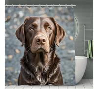 Rkklvbns Brown Labrador Retriever Shower Curtain for Home, Reusable Curtain Liner with Hooks, Lightweight Bath Curtains for Hotel, Waterproof Bath Curtains for Gym, Apartment, 70.8"x70.8"