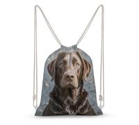 Rkklvbns Canvas Drawstring Brown Labrador Retriever Backpack for Gym, Personalized Sport Pack Bags for Travel, Shopping