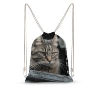 Rkklvbns Canvas Drawstring Cat Smashes Glass in Car Backpack for Gym, Personalized Sport Pack Bags for Travel, Shopping