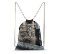 Rkklvbns Canvas Drawstring Cat Smashes Glass in Car Backpack for Gym, Personalized Sport Pack Bags for Travel, Shopping