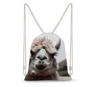 Rkklvbns Canvas Drawstring Funny Alpaca Llama Backpack for Gym, Personalized Sport Pack Bags for Travel, Shopping, White, 35x50cm, Canvas Drawstring Backpack