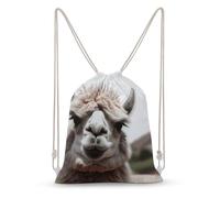 Rkklvbns Canvas Drawstring Funny Alpaca Llama Backpack for Gym, Personalized Sport Pack Bags for Travel, Shopping, White, 30x40cm, Canvas Drawstring Backpack