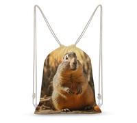 Rkklvbns Canvas Drawstring Hand Drawn Groundhog Backpack for Gym, Personalized Sport Pack Bags for Travel, Shopping, White, 30x40cm, Canvas Drawstring Backpack