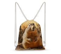 Rkklvbns Canvas Drawstring Hand Drawn Groundhog Backpack for Gym, Personalized Sport Pack Bags for Travel, Shopping, White, 35x50cm, Canvas Drawstring Backpack