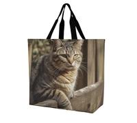 Rkklvbns Cat on Wooden Fence Women Tote Bag Shoulder Grocerie Bags Portable Storage Handbag Lightweight Durable for Work Travel Casual Bag