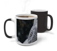 Rkklvbns Color Changing Snow Owl Coffee Mug for Office, Ceramic Magic Mugs with Handle, Personalized Novelty Cup for Home, Party, Funny Tea Cups for Birthday Gift, 11 Oz