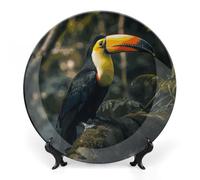 Rkklvbns Colorful Toucan Decorative Plates 10inch Ceramic Dinner Plates Bone China Decorative Plate with Display Stand Dessert Plates for Home Office Wall Decoration