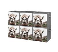 Rkklvbns Foldable Funny Alpaca Llama Storage Cubes Organizer with Handles, Storage Bags 6PCS for Clothing, Sturdy Organizer Bins for Blanket, Comforters, Bed Sheets, Pillows