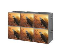 Rkklvbns Foldable Golden Sunset Bald Eagle Storage Cubes Organizer with Handles, Storage Bags 6PCS for Clothing, Sturdy Organizer Bins for Blanket, Comforters, Bed Sheets, Pillows