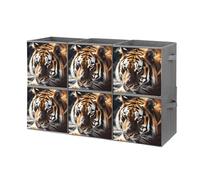 Rkklvbns Foldable Wild Animal Tiger Storage Cubes Organizer with Handles, Storage Bags 6PCS for Clothing, Sturdy Organizer Bins for Blanket, Comforters, Bed Sheets, Pillows