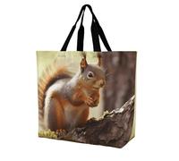Rkklvbns Funny Squirrel Women Tote Bag Shoulder Grocerie Bags Portable Storage Handbag Lightweight Durable for Work Travel Casual Bag