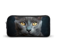 Rkklvbns Gray Cat Stares Large Pencil Case Portable Pencil Bag with Zipper Stationery Organizer Simple Storage Aesthetic Stationery for Office College Adult Use