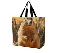 Rkklvbns Hand Drawn Groundhog Shopping Bag Foldable, Reusable Grocery Bag for Outdoor, Large Capacity Shoulder Bags Washable Tote Bags for Work, Beach, Travel