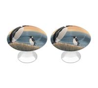 Rkklvbns Hand Drawn Penguin Cabinet Handles 2 Pack Modern Dresser Drawer Knobs with 1.1 Inch Center Hole Solid Round Wardrobe Pulls for Kitchen Cabinets Bedroom