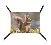 Rkklvbns Hanging Pets Hammock for Cage, Autumn Squirrel Pet Hammock Bed Soft, Cat Hammock, Washable Outdoor Mat, Comfortable Pet Cage Hammock with Adjustable Straps