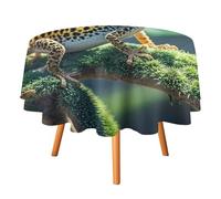 Rkklvbns Leopard Little Gecko Tablecloth for Wedding, Washable Table Cloth for Restaurant, Round Polyester Table Cover 50x50in for Party, Waterproof Tablecloth for Banquet, Holiday Decor