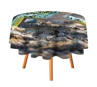 Rkklvbns Leopard Little Gecko Tablecloth for Wedding, Washable Table Cloth for Restaurant, Round Polyester Table Cover 36x36in for Party, Waterproof Tablecloth for Banquet, Holiday Decor