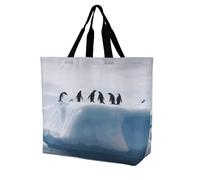 Rkklvbns Penguins on The Iceberg Women Tote Bag Shoulder Grocerie Bags Portable Storage Handbag Lightweight Durable for Work Travel Casual Bag