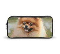 Rkklvbns Pomeranian Dog Large Pencil Case Portable Pencil Bag with Zipper Stationery Organizer Simple Storage Aesthetic Stationery for Office College Adult Use
