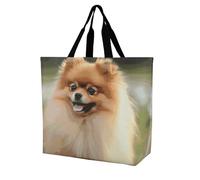 Rkklvbns Pomeranian Dog Women Tote Bag Shoulder Grocerie Bags Portable Storage Handbag Lightweight Durable for Work Travel Casual Bag