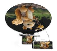 Rkklvbns Resin Squirrel Outdoor Blanket Leisure, Round Grill Mat, Waterproof Picnic Blanket, Extra Large Foldable Camping Mat for Parks, Grass, Indoor Crawling, Family Use